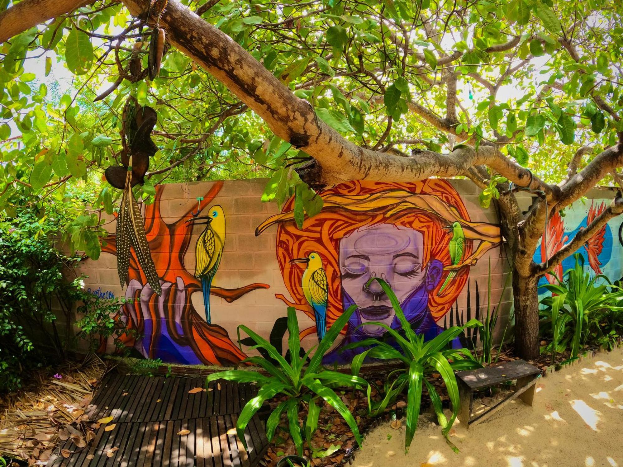 בארה גראנדה Raizes Eco Hostel מראה חיצוני תמונה